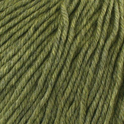 Cascade 220 Superwash Yarn ~ Turtle #1919